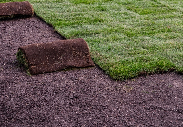 laying sod