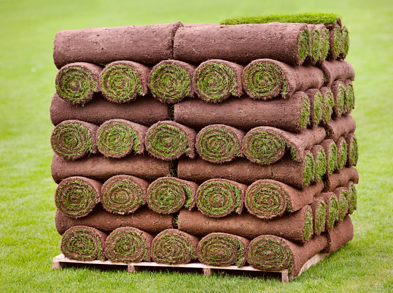 sod on a pallet